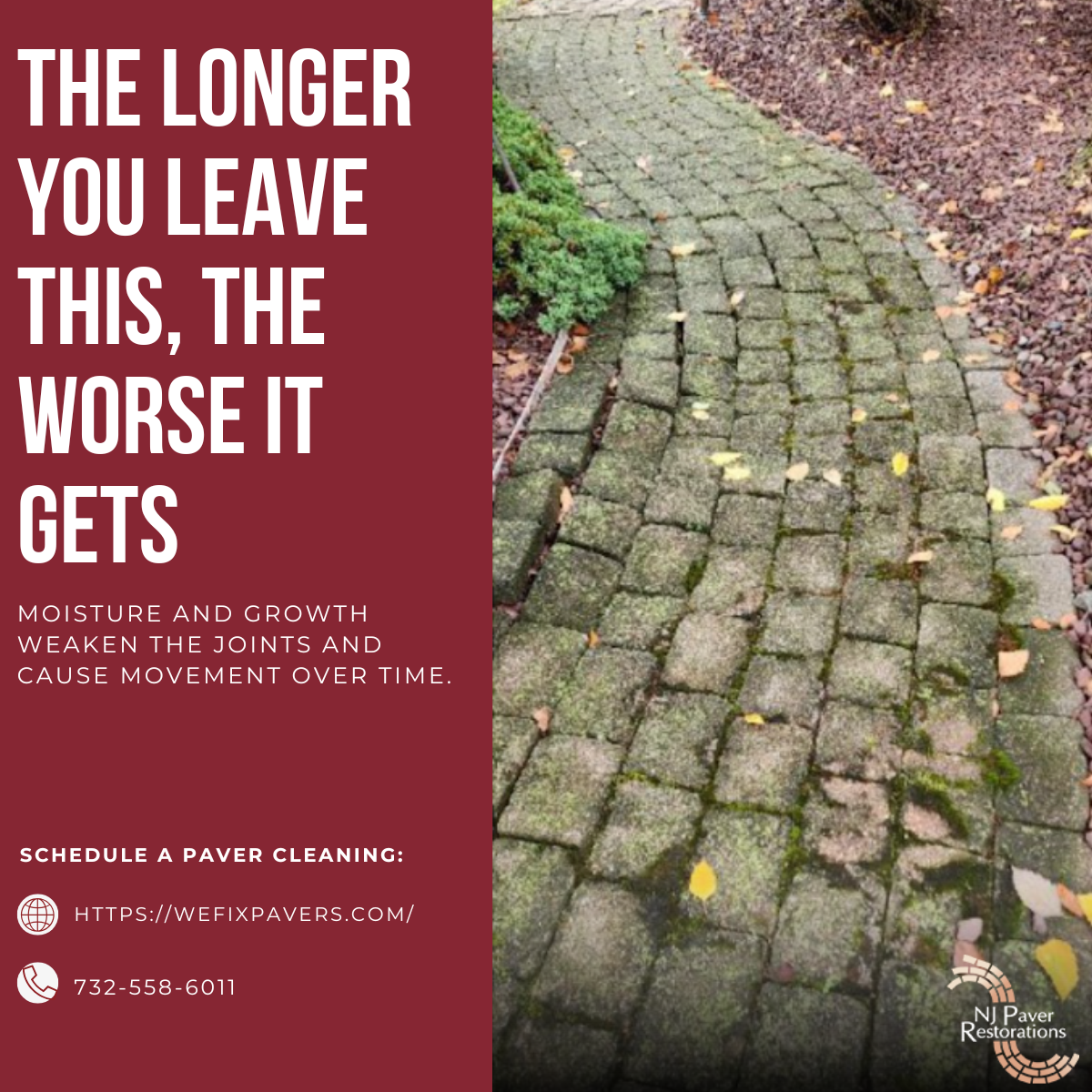 Paver restoration example