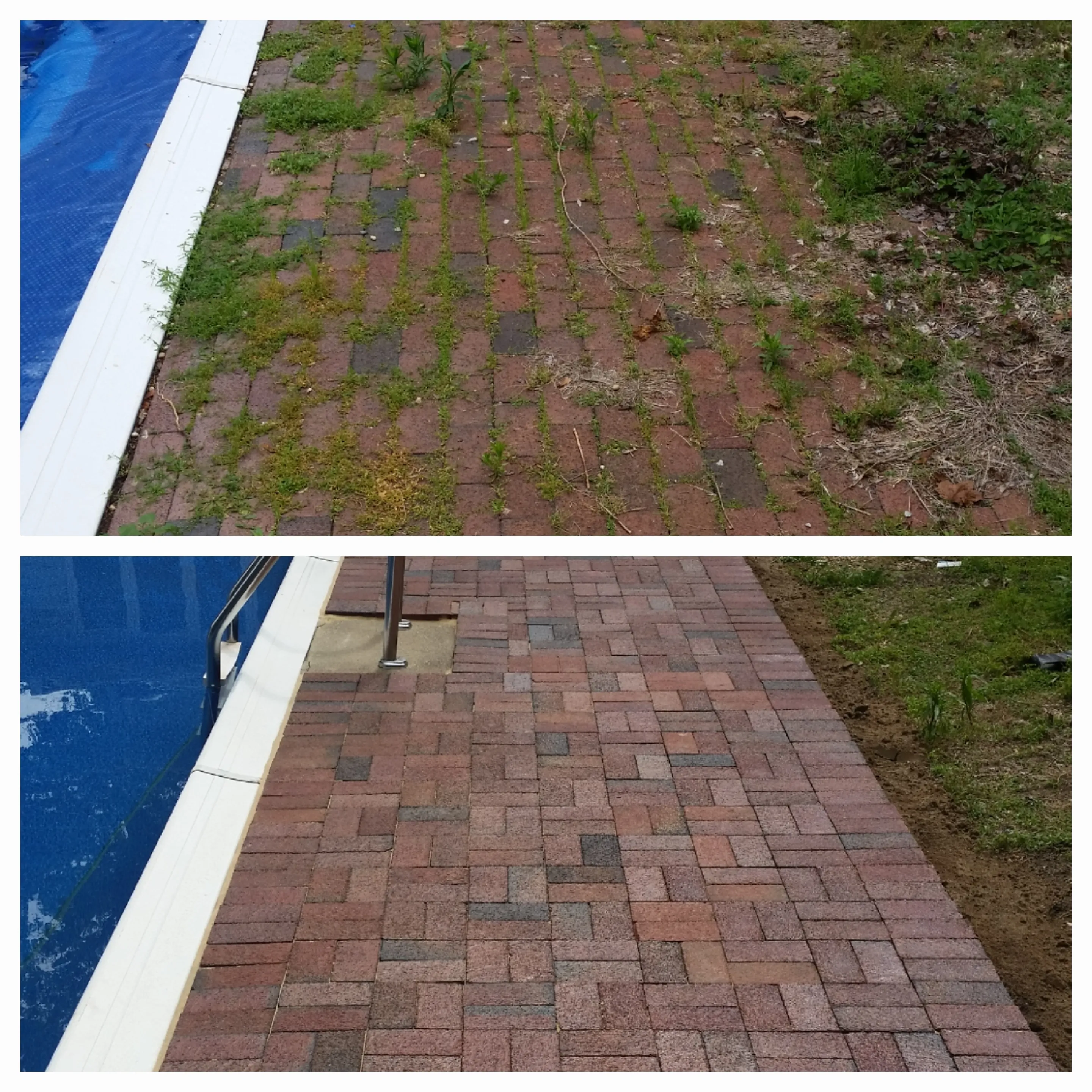 Pool area paver cleaning before and after — heavily weeded pool deck pavers cleaned and re-sanded