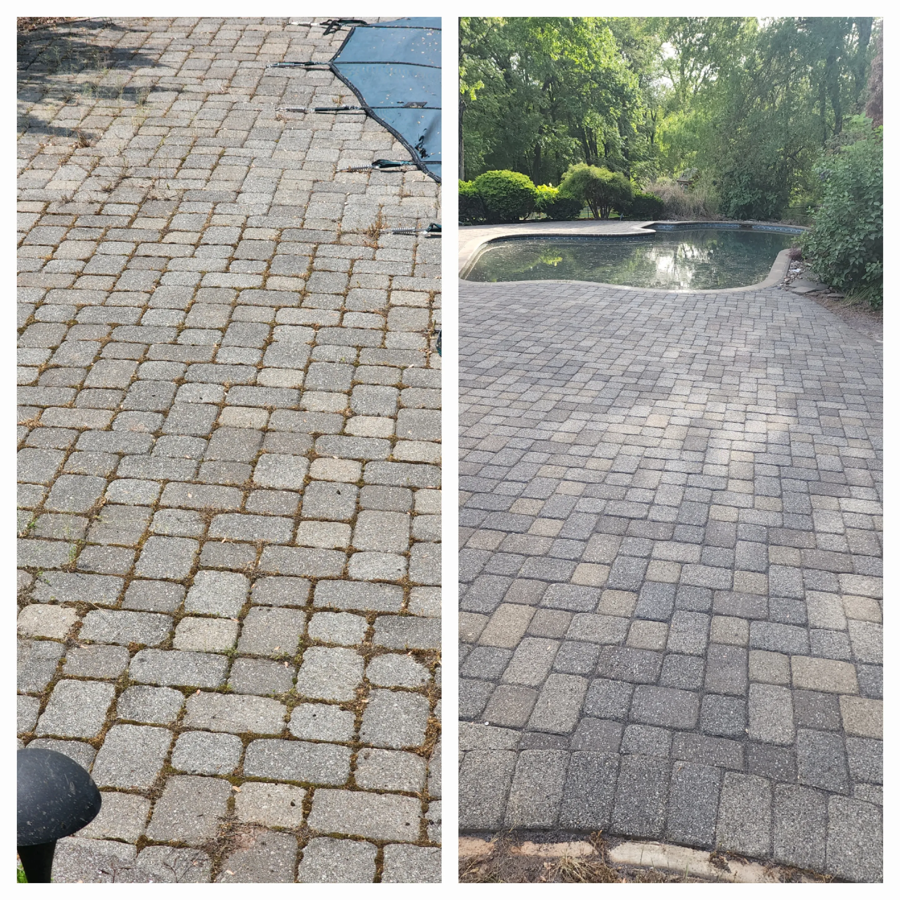 Pool area paver cleaning before and after — mossy pool deck pavers cleaned and restored