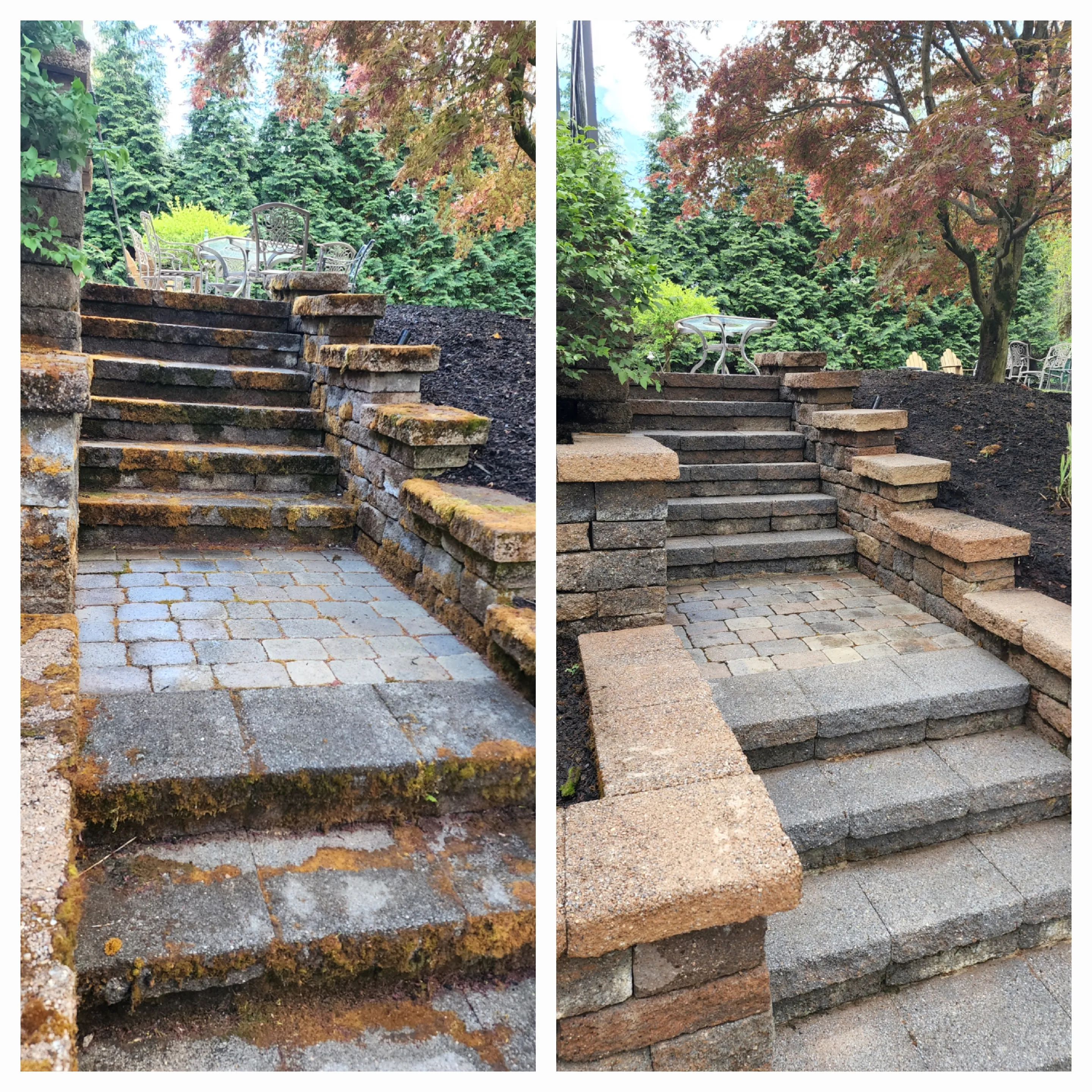 Stone staircase cleaning before and after — heavy moss and lichen removed from steps and walls