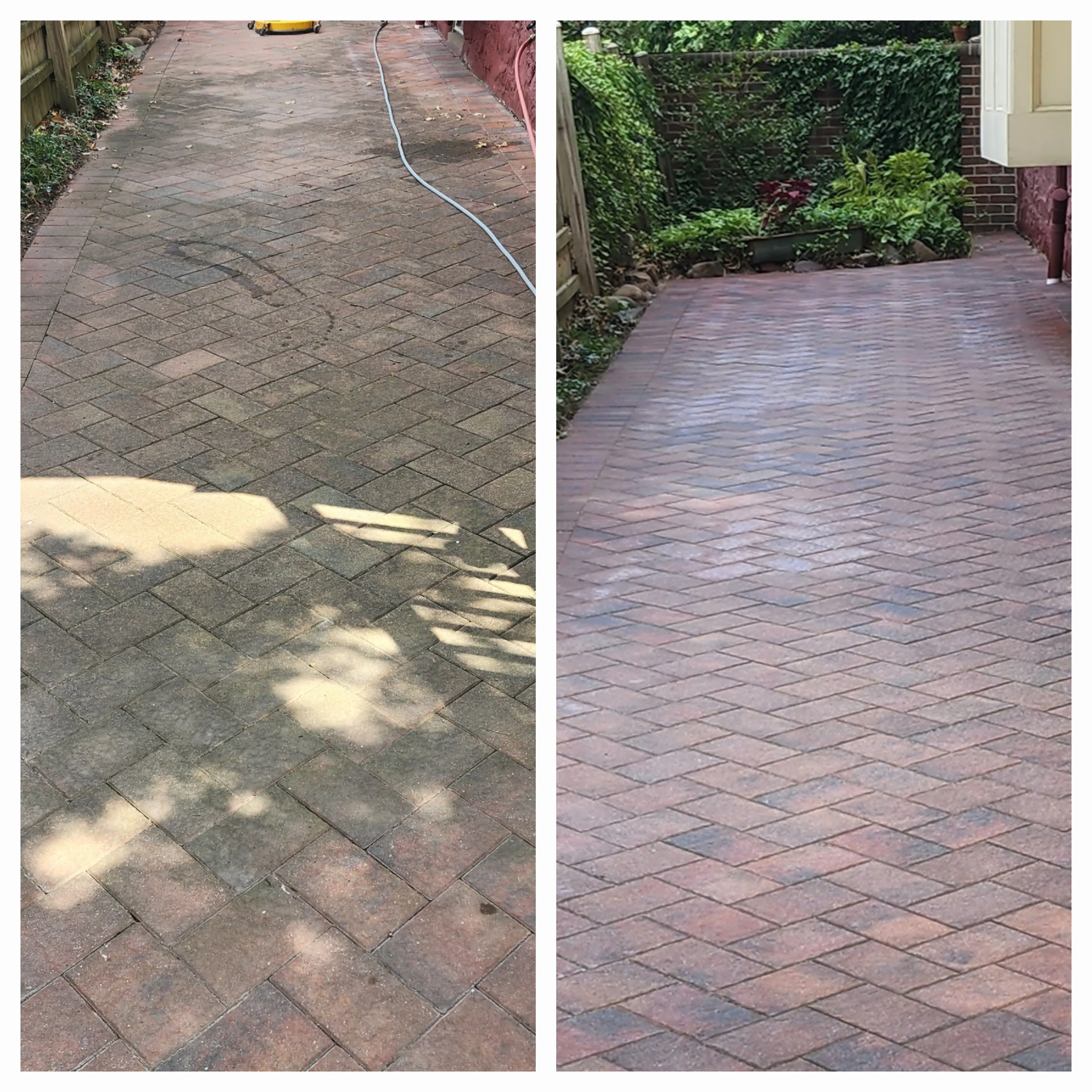 Herringbone brick walkway cleaning before and after — algae-covered pavers cleaned and restored