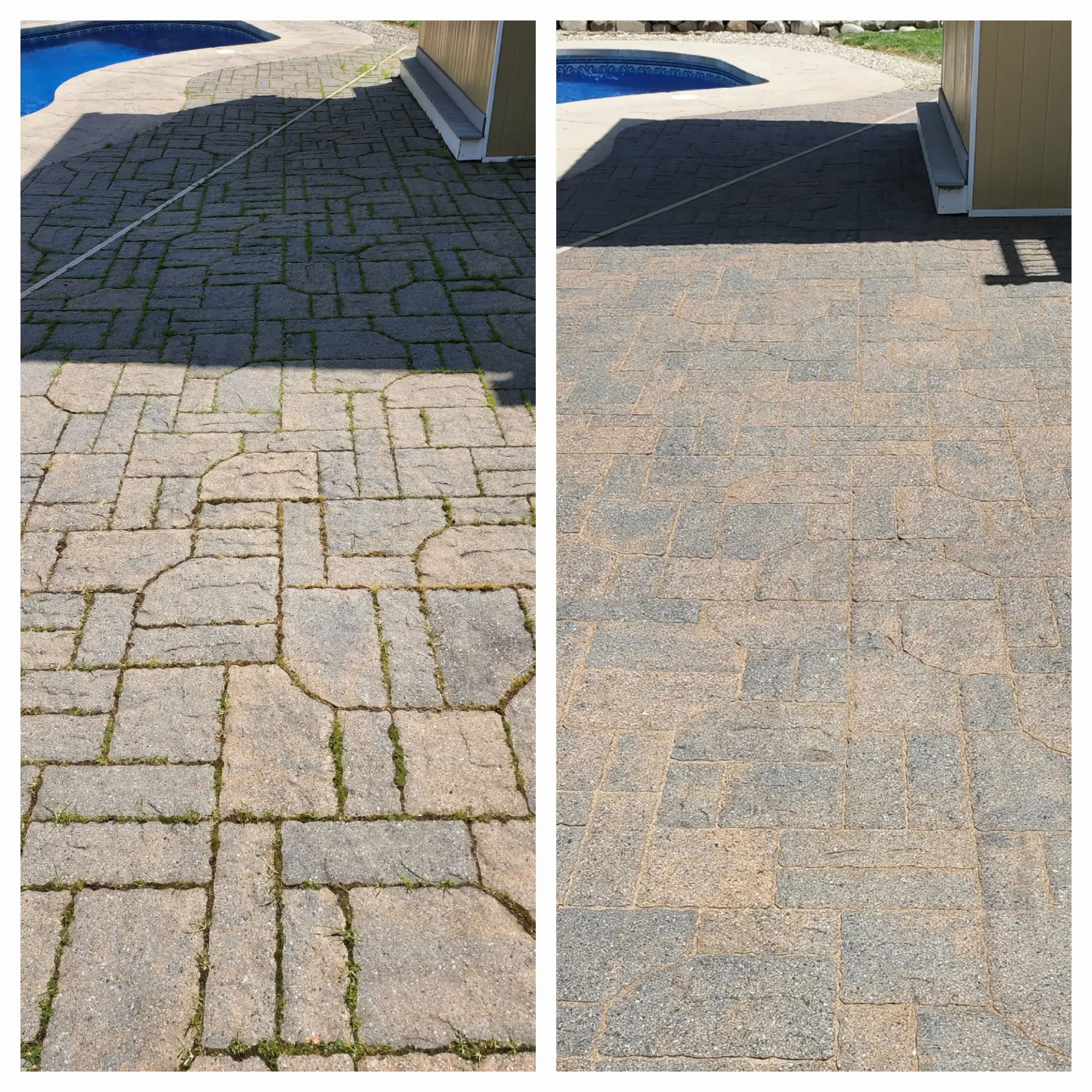 Pool deck paver cleaning before and after — dark mossy pool pavers cleaned and restored