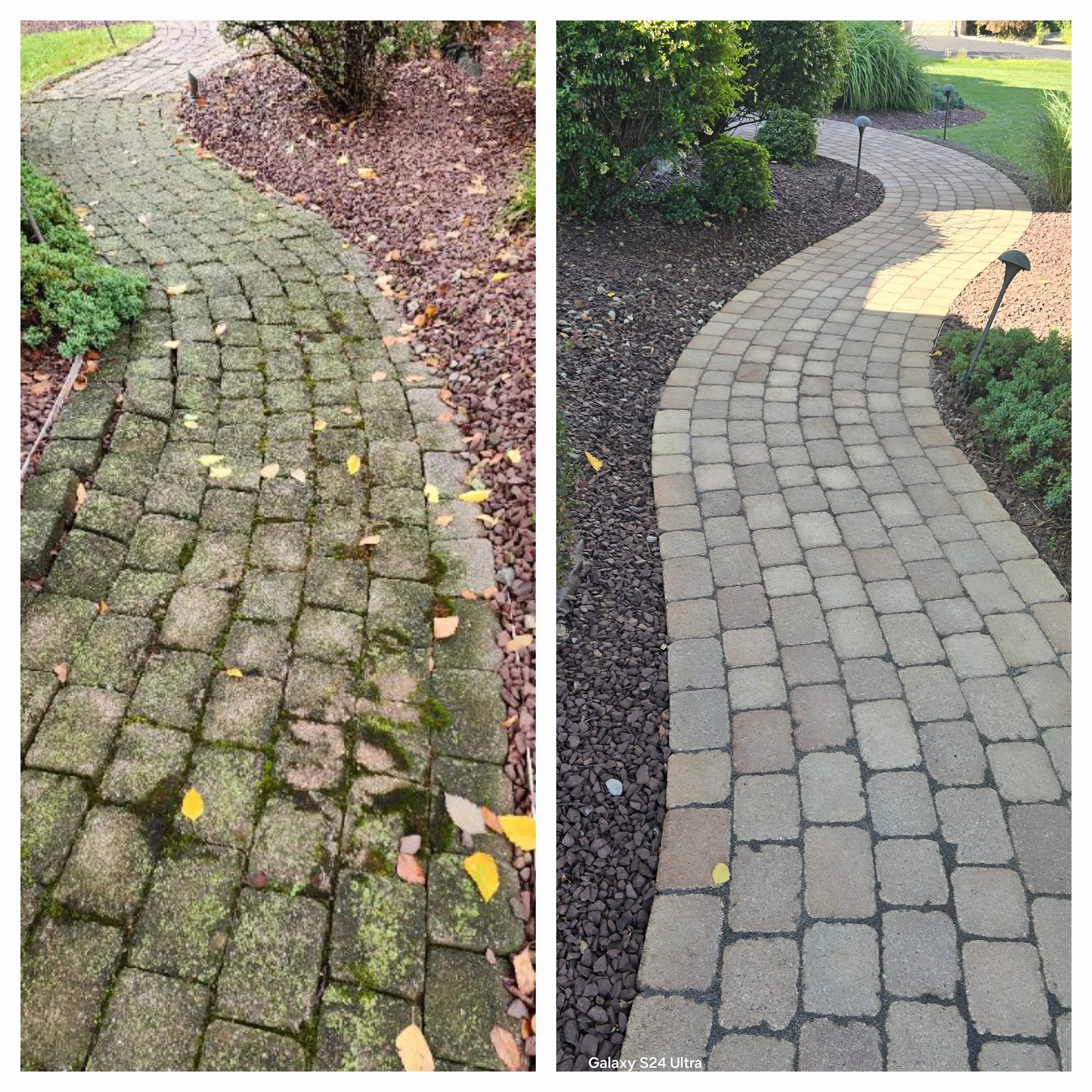 Cobblestone walkway repair before and after — mossy overgrown walkway repaired and restored